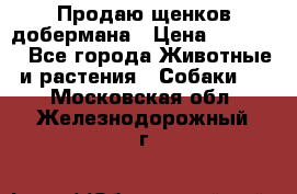 Продаю щенков добермана › Цена ­ 45 000 - Все города Животные и растения » Собаки   . Московская обл.,Железнодорожный г.